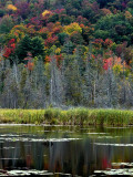 Fall