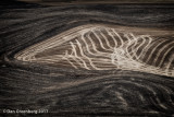 Tractor Tracks