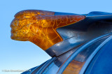 Car Art - Ornamentia