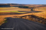 The Road Less Traveled