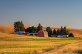 Another White House, Another Red Barn