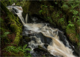 Scotland