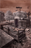 infrared