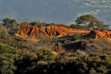 TORREY PINES STATE NATURAL RESERVE SCENIC