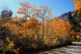 EASTERN SIERRA