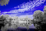 D800 UV-VIS-IR