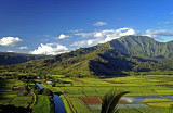 Morning, Hanalei