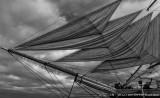 Monochrome