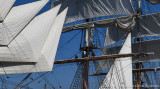 Star of India