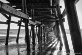 Monochrome