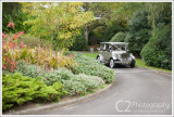 204-DandDWed-D3A_2013.jpg