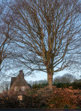 IMG_6689-HDR.jpg