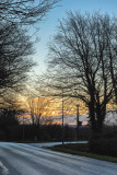 IMG_6668-2.jpg