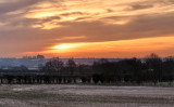 IMG_7596.jpg