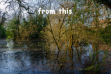 Dene_Wood_IMG_1153.jpg
