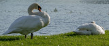 IMG_4570.jpg