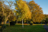 Hornbeam Drive, Cottingham IMG_5659.jpg