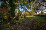 Snuff Mill Lane, Cottingham IMG_5615.jpg