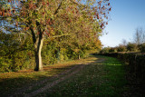 Snuff Mill Lane, Cottingham IMG_5616.jpg