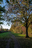 Snuff Mill Lane, Cottingham IMG_5642.jpg