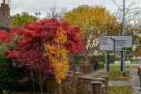 IMG_5939.jpg