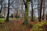 The Lawns, Cottingham IMG_9445.jpg