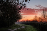 IMG_1774-HDR.jpg