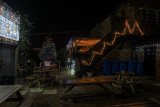IMG_5565.jpg