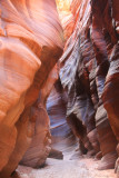 0050-Buckskin Gulch Pathway--.jpg