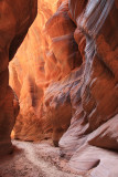 0054-IMG_0321-Buckskin Gulch Pathway.jpg
