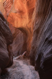0056-IMG_0036-Buckskin Gulch Trail.jpg