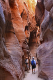 0062-IMG_9464-The Awesome Beauty of Buckskin Gulch.jpg