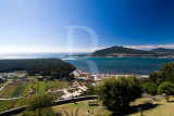 Caminha3182.jpg