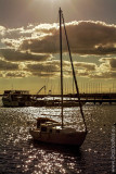 Tavira