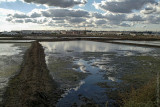 Tavira e a Ria Formosa