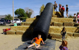 October 2016 - Kyler on the slide at Diana's Pumpkin Patch and Corn Maize in Canon City, Colorado