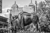 20170823_Bison_statue_jcascio_EAFA120234.jpg