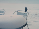 Snow and winter