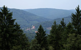 Schloss Hirschhorn i Odenwald, Tyskland. Skogen är vidsträckt!