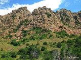 Charons Garden