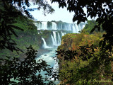 Iguazu Falls