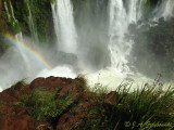 Iguazu Falls
