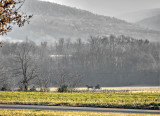Local Scenery