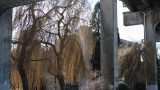 W-DSCF4512.jpg
