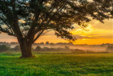 virginia_arboretum