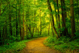 shenandoah_national_pk