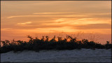 Cape Charles, VA