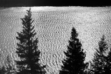 Travel B&W