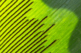 Abstractions