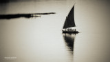 The Nile